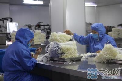 郏县倾力打造中部地区知名医用耗材产销地，建设50亿级产业集群